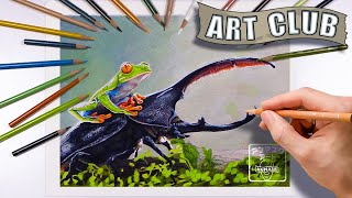 Frog & Beetle Colored Pencil Timelapse // Art Club Project