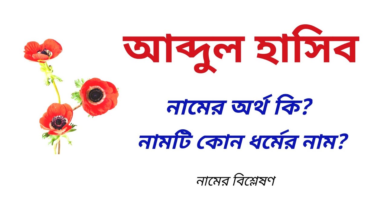 আব্দুল হাসিব নামের অর্থ কি? | Abdul Hasib name meanings | What is the  meanings of Abdul Hasib?