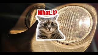 Acura integra GSR edit#cars #acuranation #edit #helpmemakethismakesense #integraty #fuelfest#cartok 