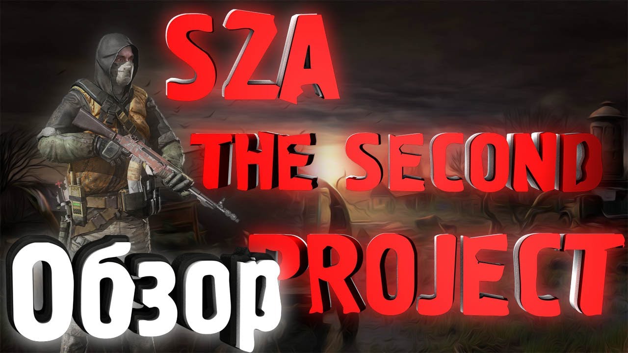 The second project