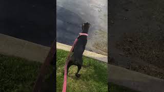 Almost 6 Months Eli Boze X Zebo