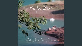 Rakı Koydum Fincana