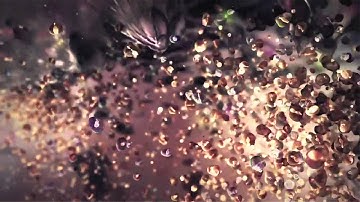 The Nature of Perception