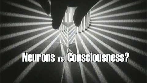 A Glorious Piece of Meat: The Neural Basis of Consciousness