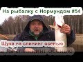 Щука на спиннинг поздней осенью. На рыбалку с Нормундом #54