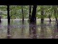 Lofi Hip Hop Chill Music for Work, Study, Relax, Focus &amp; Background Vibes
