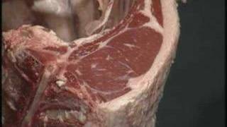 Famous Beef Grading - 4-H Meat Judging Wealth