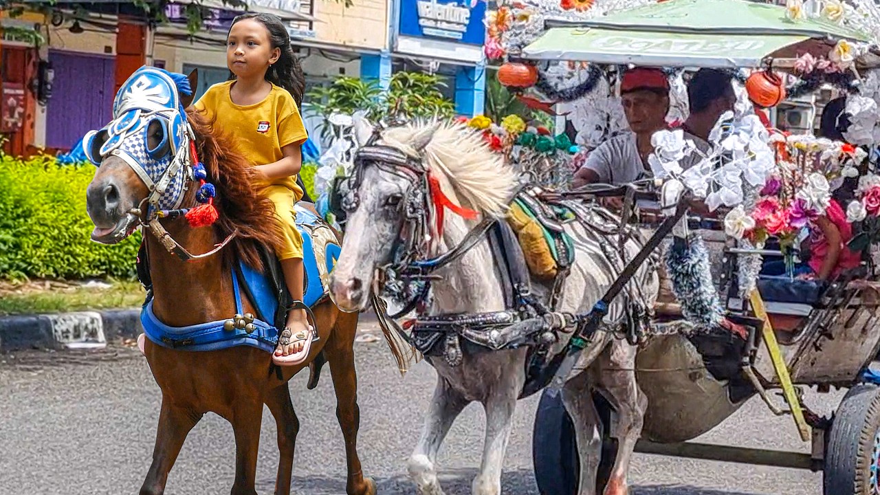 NAIK DELMAN ISTIMEWA | HORSE | KUDA DELMAN - KUDA
