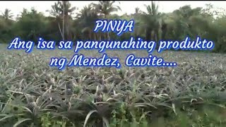 Ano Ang Pangunahing Produkto Sa Cavite - pangunahing gabay