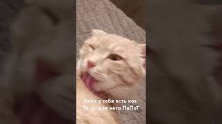 Все мы немножко ПаПоТ) Подпишись))