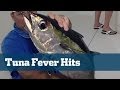 Blasting Tuna In The Bahamas - Florida Sport Fishing TV - Crazy Bird Action Unbelievable Readings