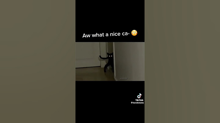 aw what a nice ca-#cat  #nicecats #scary #skinwalker