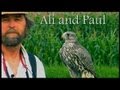 Ali and Paul, training a Gyrfalcon. A Binary Recording Studio Production, Bellingham Wa.