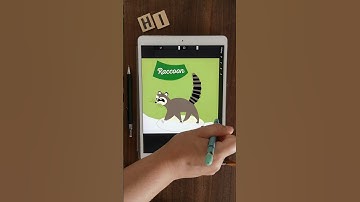 Magic erase Procreate art cute racoon