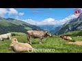 Grindelwald Suisse 4K et 360