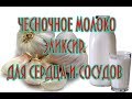 ЧЕСНОЧНОЕ МОЛОКО  - ЭЛИКСИР ДЛЯ СЕРДЦА И СОСУДОВ