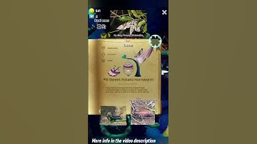 #15 Sweet Potato Hornworm - Agrius convolvuli (Linnaeus, 1758) | Flutter: Starlight