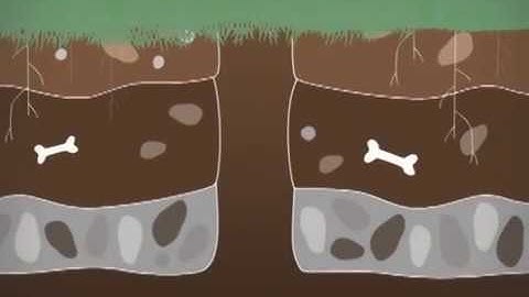 Explaining Stormwater Runoff