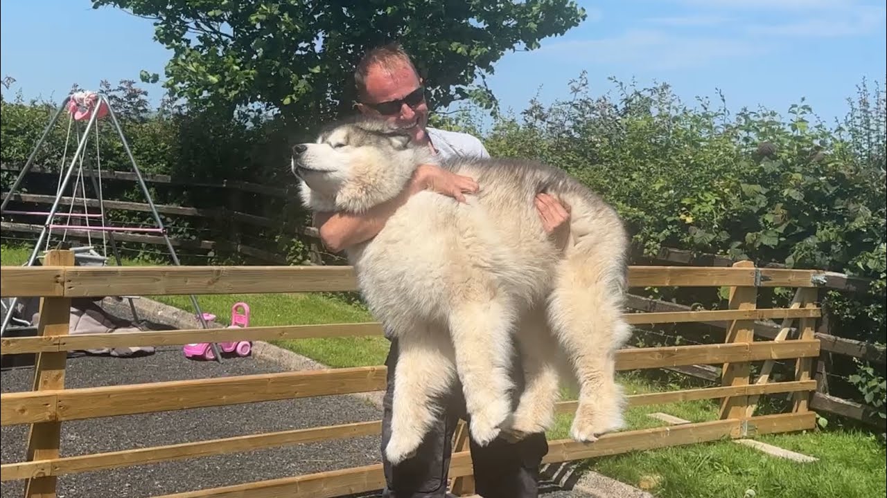 We Had A Surprise Visitor! Everyone Is So Happy!