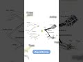 Robot Bird Breaks Physics Laws With Every Jump #technology #viral