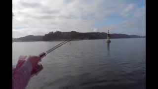 pêche calamar et seiche