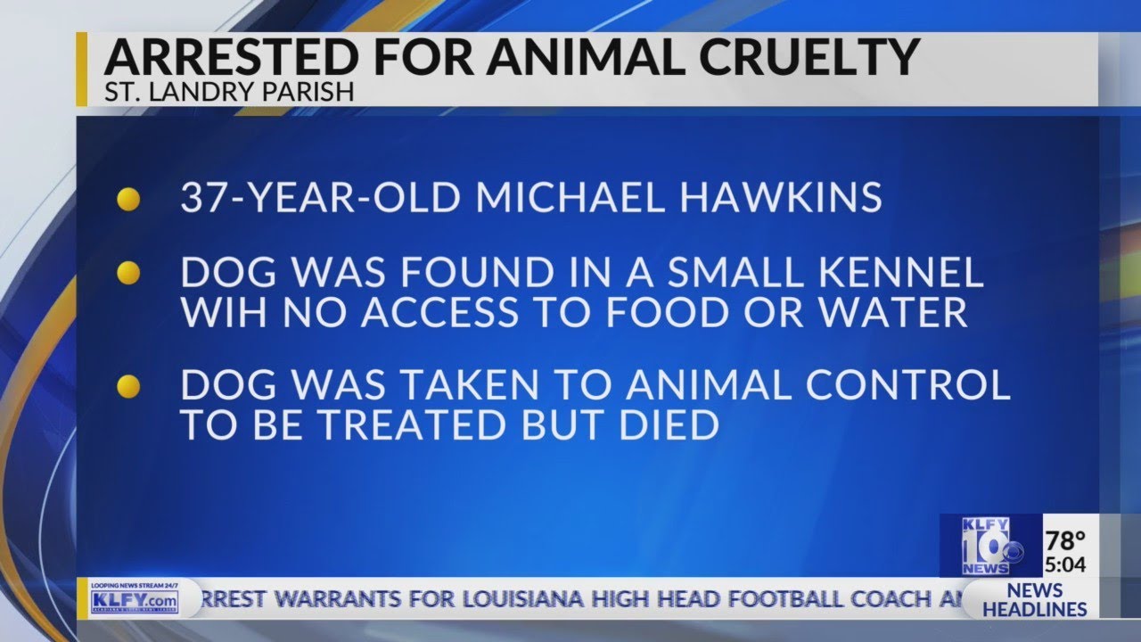 Church Point man arrested for animal cruelty after dog dies - YouTube