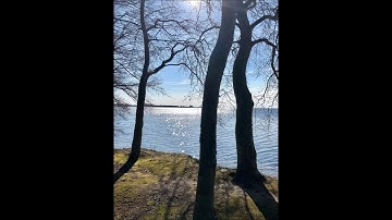 Joseph Haydn quartet op. 33, no. 3 in C major