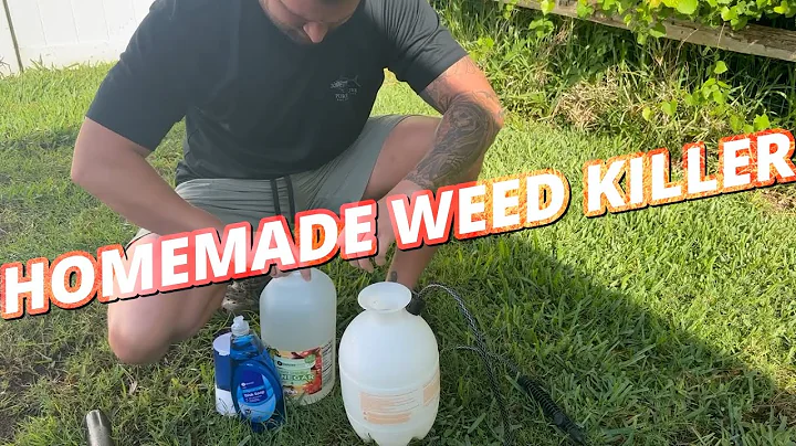 BACKYARD DISASTER | Homemade Weed Killer