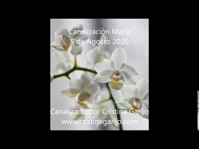 Canalización María
