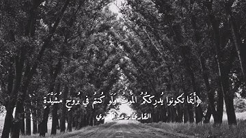 قرآن كريم بصوت القارئ: رعد الكردي || أجمل حالات واتس اب دينيه || تلاوة خاشعة 🌿