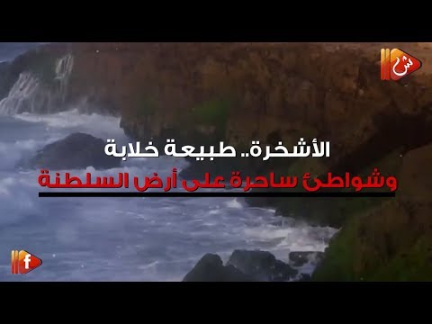 فيديو جراف الأشخرة طبيعة خلابة ووجهة سياحية فريدة في السلطنة