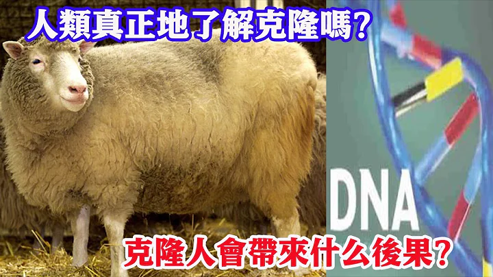 克隆羊多莉的誕生，究竟給人類帶來什麼啟發？克隆人會帶來什麼後果？人類真正地了解克隆嗎？| 腦補大轟炸 - 天天要聞