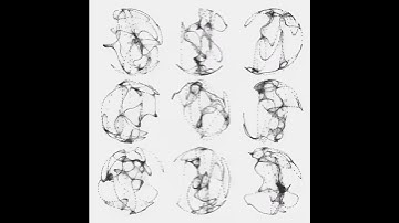 Compare side by side. Draw by openFrameworks