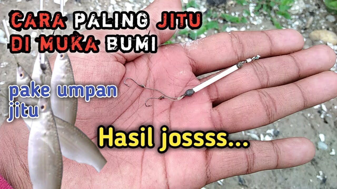 Cara Mancing Belanak Umpan Tepung - pake rangkaian - Mullet Fishing