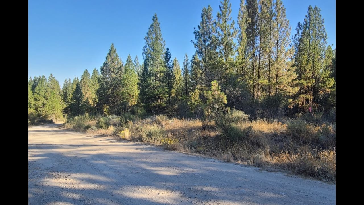 1.65 Acres For Sale, Beatty, OR 97621 YouTube