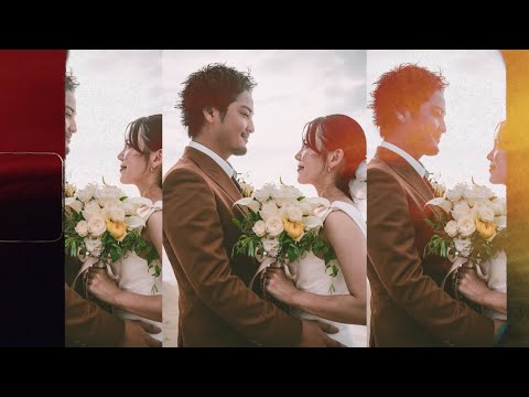 (株）DIM/株式会社 DELTA in motion