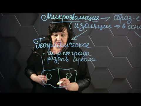 Видео: Каковы основные причины видообразования?