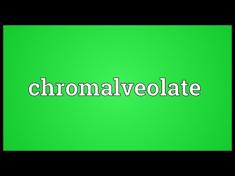 Chromalveolate Meaning