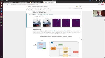 Arnaud Van Looveren - Monitoring machine learning models in production | PyData Global 2020