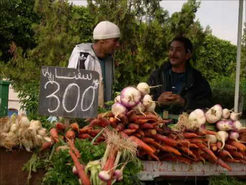    أغنية بلطي  جاي من الر يف للعاصمة 