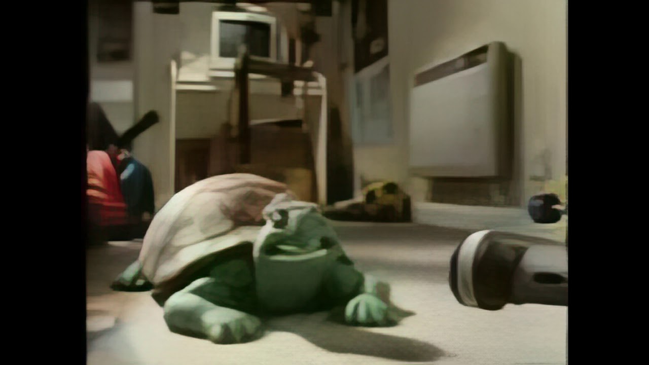 Turtle song persian language (Upscaled to 4K) YouTube