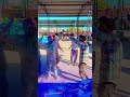 #viral #travel #youtube #nature #automobile #youtubeshorts #holi