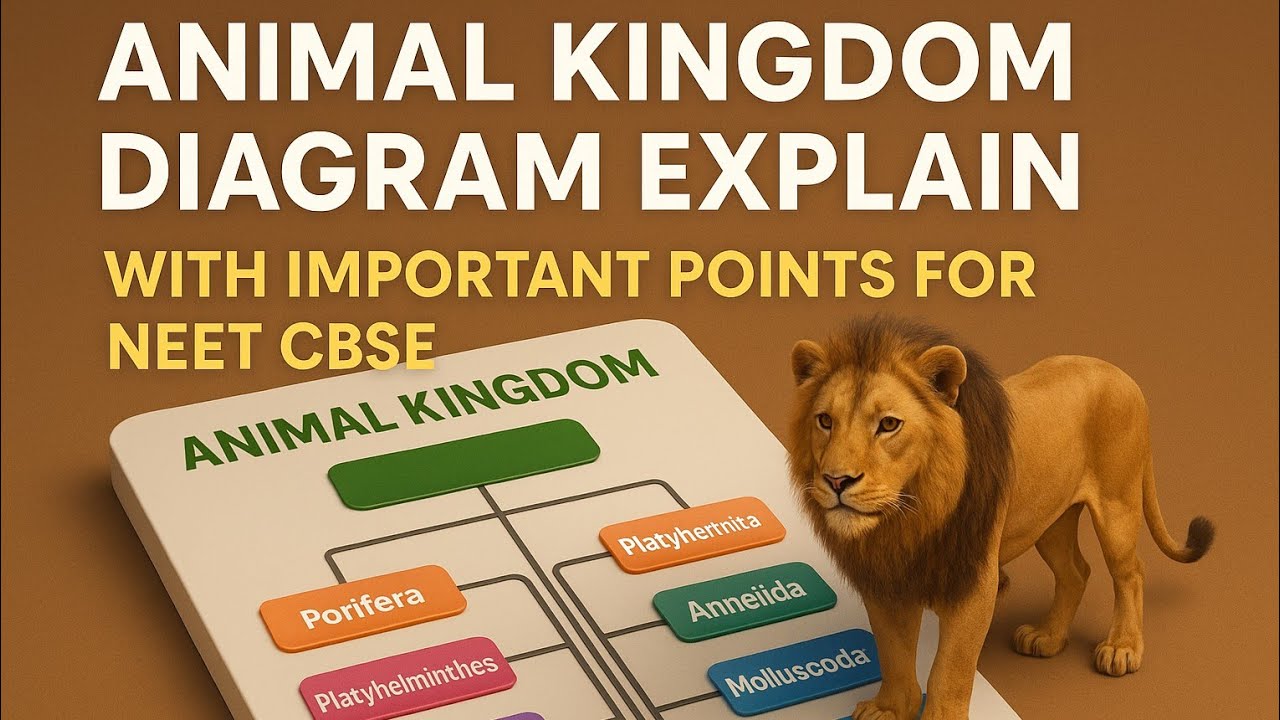 “Master Animal Kingdom | Diagram + Key Points for NEET/CBSE” - YouTube