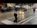 Zurich Storm Walk Heavy Rain 4K Walking Tour Summer Switzerland