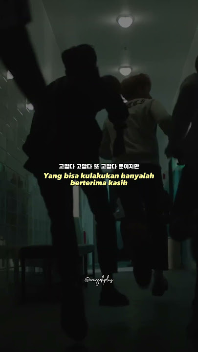 SEVENTEEN - THANKS [indo sub]