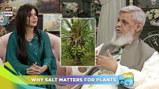 The Importance of Salt for Plants "MUST WATCH" 🌴| Nida Yasir | Good Morning Pakistan