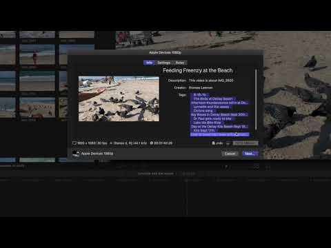 How to export