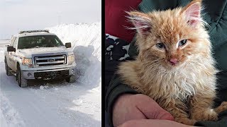 Policeman Saves A Kitten Frozen In Chunk of Ice. by NΞXTA 59,684 views 5 years ago 1 minute, 41 seconds
