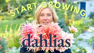 Get started with dahlias  A guide to the basics