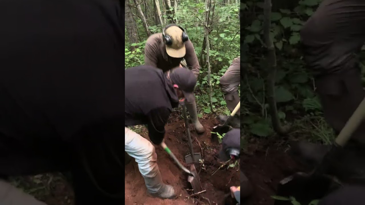 2025 find of the year